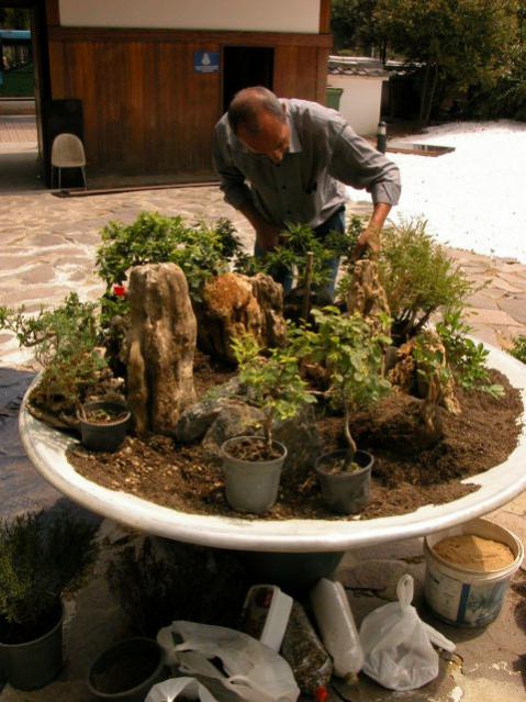 Name:  DSCN0880.jpg
Views: 2274
Size:  57.1 KB