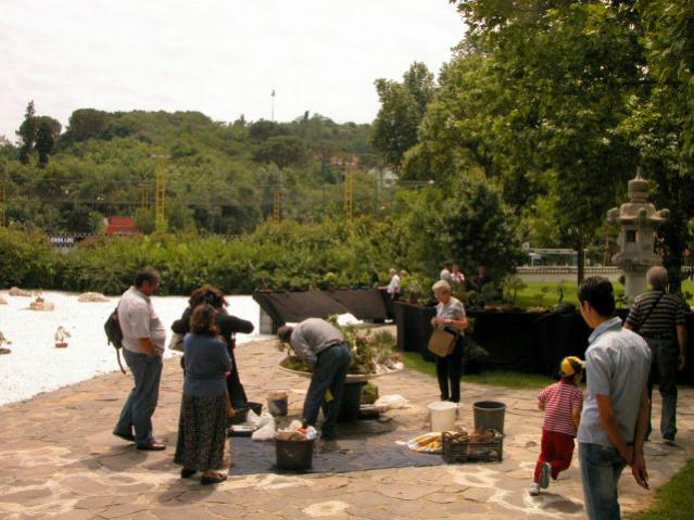 Name:  DSCN0889.jpg
Views: 2271
Size:  56.0 KB