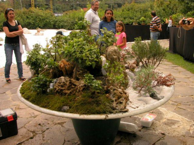 Name:  DSCN0893.jpg
Views: 2314
Size:  64.5 KB