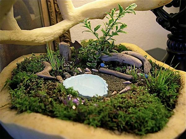 Name:  miniature-gardens-ideas.jpg
Views: 10449
Size:  61.1 KB