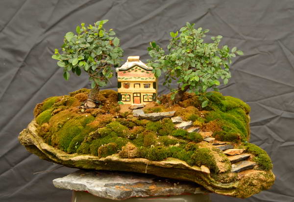 Name:  _DSC0458-1 yosun bahesi.jpg
Views: 3923
Size:  61.6 KB