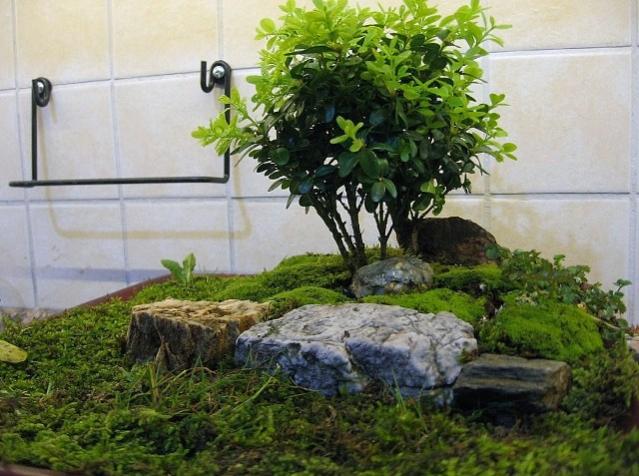 Name:  minibahe1.jpg
Views: 1844
Size:  57.2 KB