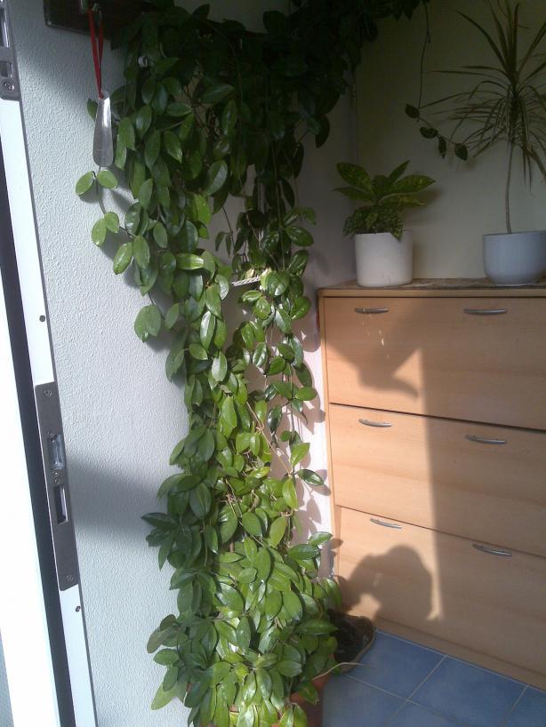 Name:  ABCD0016.jpg
Views: 1888
Size:  71.0 KB