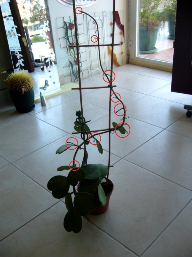Name:  Kerrii.jpg
Views: 2188
Size:  65.1 KB