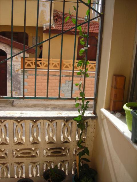 Name:  DSCN3692.jpg
Views: 1858
Size:  47.4 KB