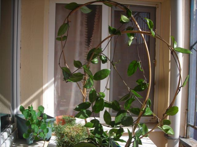Name:  DSCN3700.jpg
Views: 2368
Size:  47.3 KB