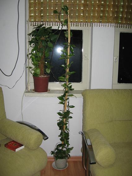 Name:  Resim 009.jpg
Views: 905
Size:  45.0 KB
