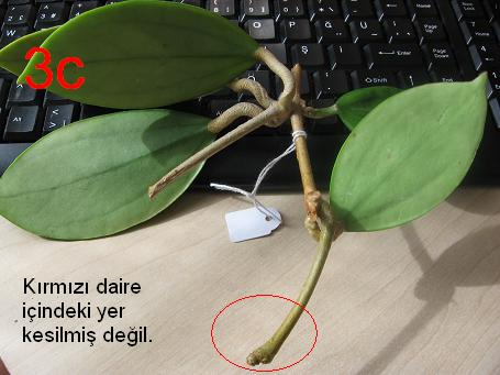 Name:  3c.jpg
Views: 1701
Size:  34.2 KB