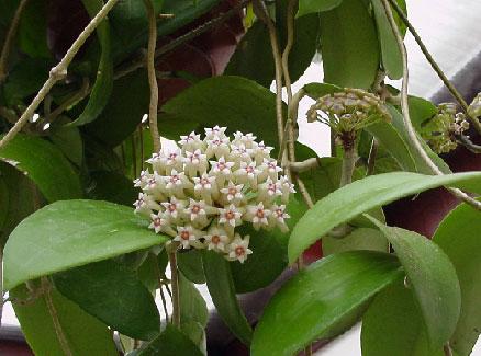 Name:  image2951.jpg
Views: 3689
Size:  29.5 KB