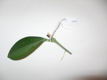 Name:  Resim 005.jpg
Views: 2167
Size:  13.7 KB