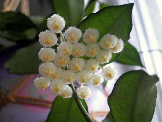Name:  P6180127 - Kopya.jpg
Views: 690
Size:  26.8 KB