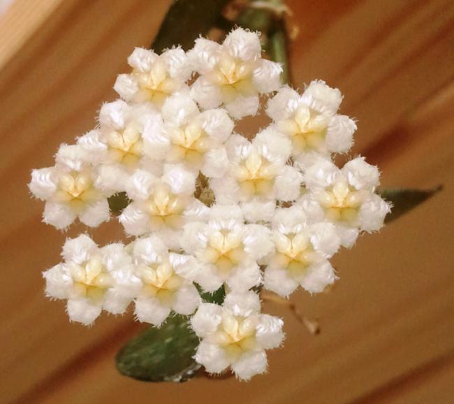 Name:  Fotoraf2013.jpg
Views: 2292
Size:  39.0 KB