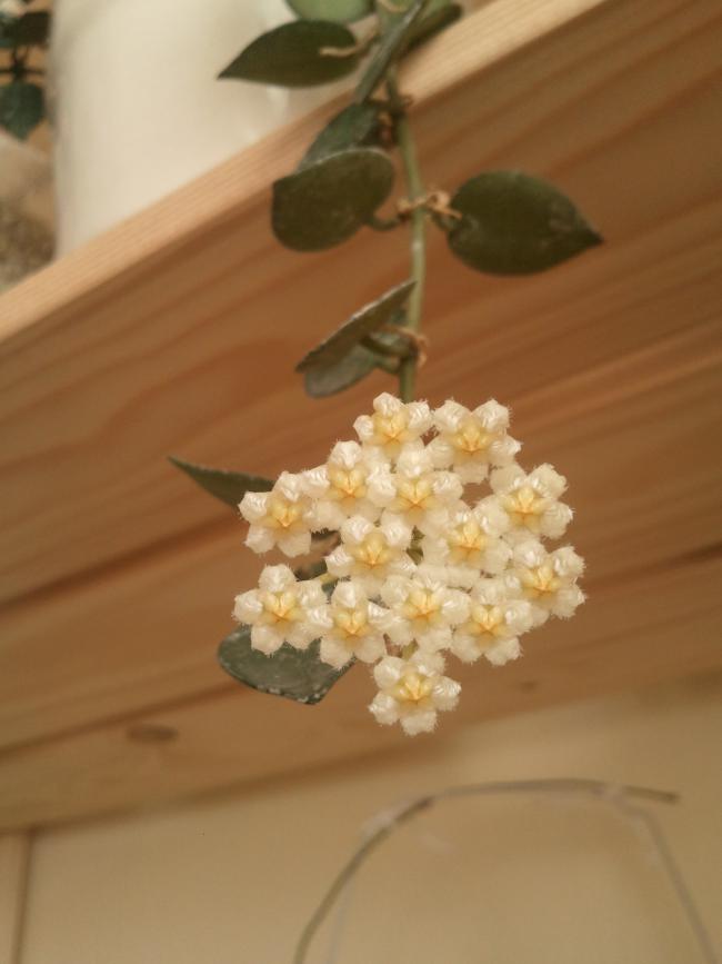 Name:  Fotoraf2009.jpg
Views: 2367
Size:  36.5 KB