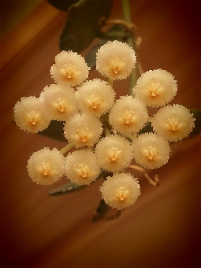 Name:  Fotoraf2055.jpg
Views: 2235
Size:  39.6 KB