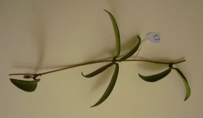 Name:  mbell1.jpg
Views: 1983
Size:  34.6 KB