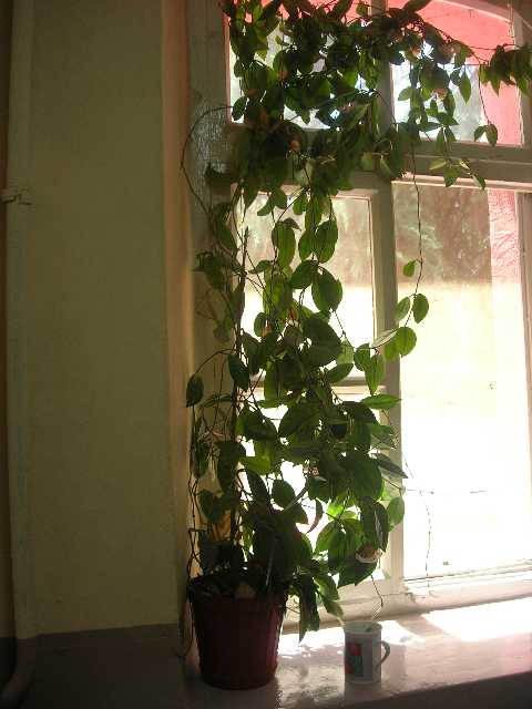Name:  DSCN7953.JPG
Views: 2567
Size:  32.1 KB