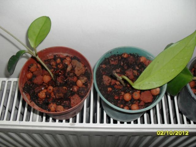 Name:  015.jpg
Views: 4246
Size:  40.2 KB