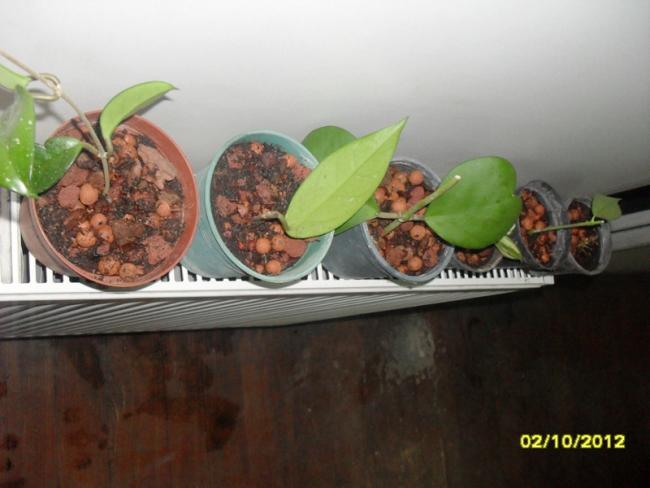 Name:  019.jpg
Views: 4279
Size:  35.6 KB