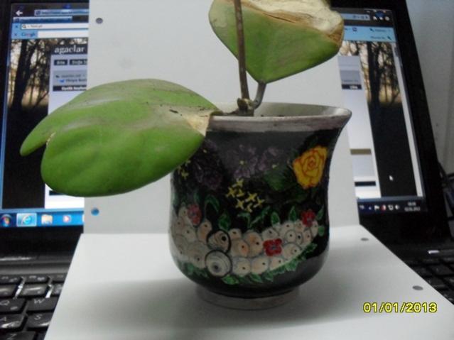 Name:  027.jpg
Views: 1980
Size:  34.7 KB