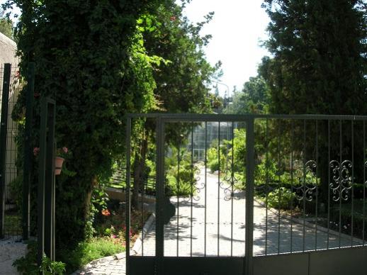 Name:  ege botanik 07. 1-2013.jpg
Views: 4076
Size:  43.6 KB
