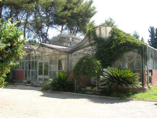 Name:  ege botanik 7.3 - 2013.jpg
Views: 4225
Size:  43.5 KB