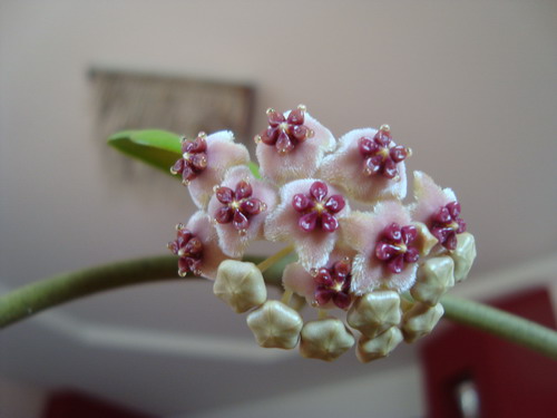 Name:  3.jpg
Views: 10302
Size:  48.6 KB