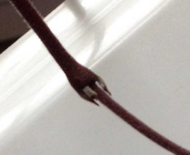 Name:  ImageUploadedByTapatalk1380806242.330464.jpg
Views: 2339
Size:  22.5 KB