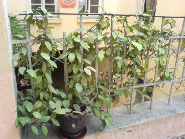 Name:  DSC04406.jpg
Views: 1630
Size:  58.2 KB