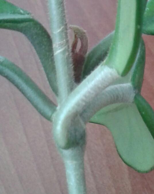 Name:  20131203_105943-1.jpg
Views: 2335
Size:  28.7 KB