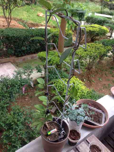 Name:  ImageUploadedByTapatalk1398271699.292035.jpg
Views: 1612
Size:  35.7 KB