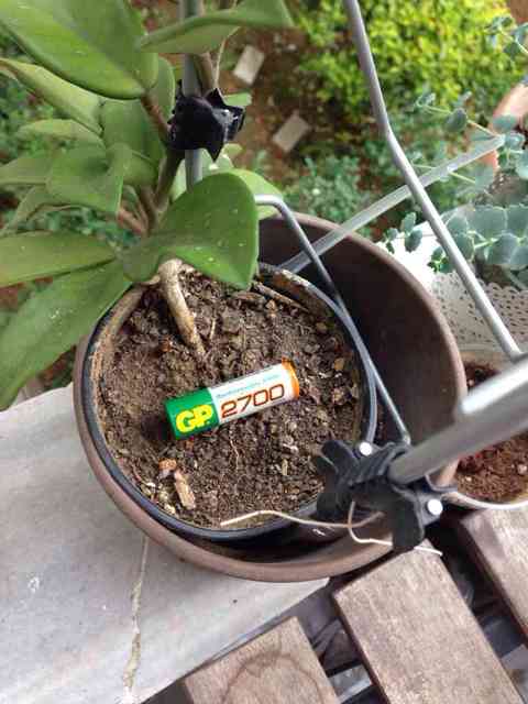 Name:  ImageUploadedByTapatalk1398271709.077234.jpg
Views: 1634
Size:  30.3 KB