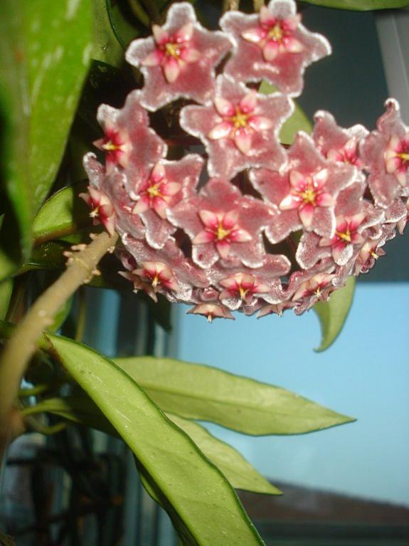Name:  DSC07846.jpg
Views: 658
Size:  56.8 KB