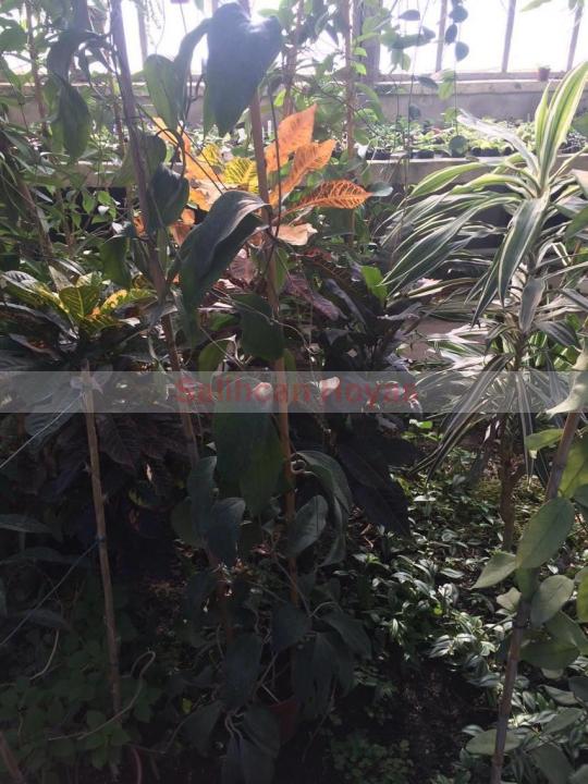 Name:  1.jpg
Views: 761
Size:  74.9 KB