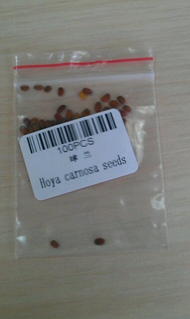 Name:  hoya.jpg
Views: 1783
Size:  56.9 KB