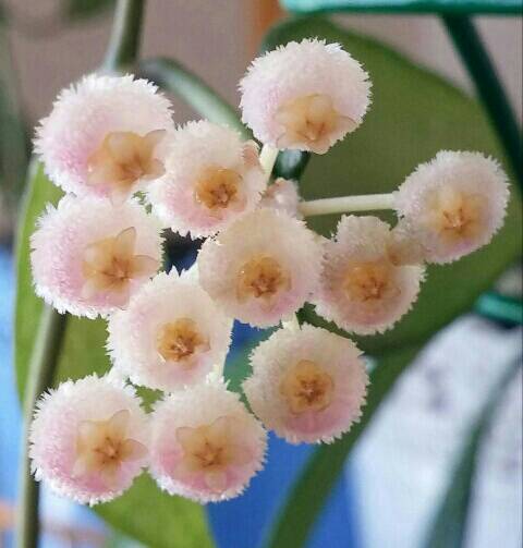 Name:  uploadfromtaptalk1460640806755.jpg
Views: 821
Size:  28.2 KB