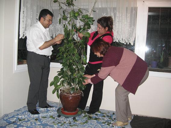 Name:  iki.jpg
Views: 1861
Size:  52.7 KB