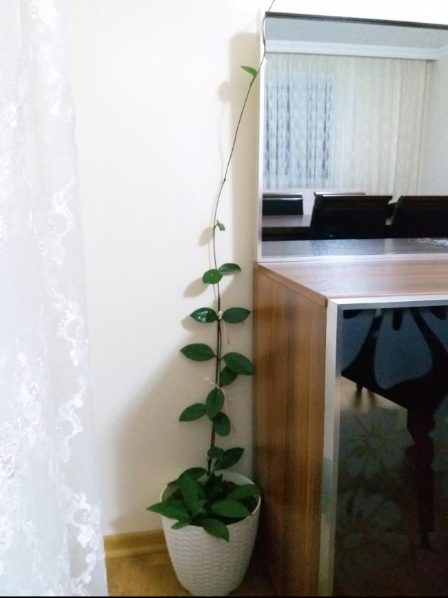 Name:  20181120_192037.jpg
Views: 1321
Size:  43.0 KB