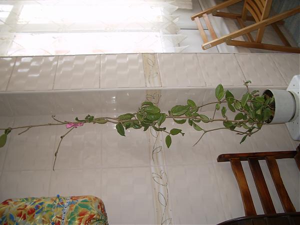 Name:  ieklerim 002.jpg
Views: 1137
Size:  33.3 KB