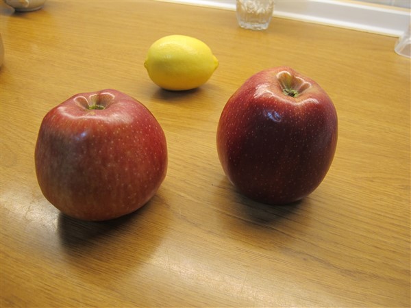 Name:  IMG_2068 (600 x 450).jpg
Views: 432
Size:  55.8 KB