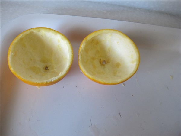 Name:  IMG_2291 (600 x 450).jpg
Views: 314
Size:  39.7 KB