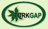 Name:  turkgap.gif
Views: 12800
Size:  6.0 KB