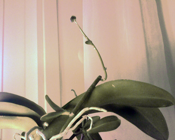 Name:  047.jpg
Views: 63347
Size:  44.0 KB
