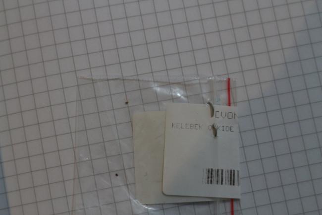 Name:  IMG_4422.jpg
Views: 3017
Size:  22.7 KB