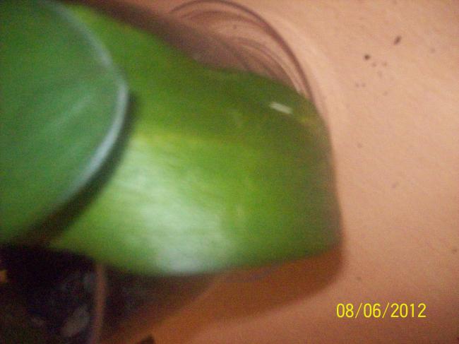 Name:  100_2929.jpg
Views: 5404
Size:  31.1 KB