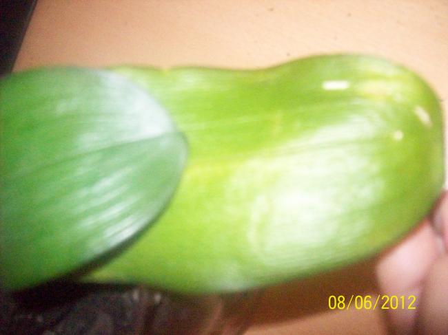 Name:  100_2931.jpg
Views: 5236
Size:  27.8 KB