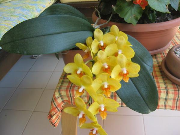 Name:  IMG_0309.jpg
Views: 1566
Size:  35.5 KB