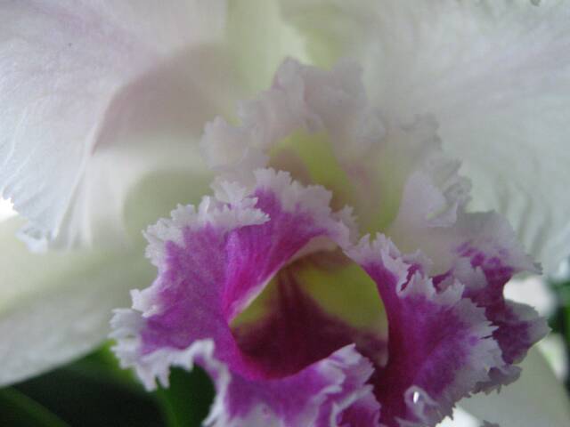 Name:  IMG_0192.jpg
Views: 753
Size:  20.5 KB