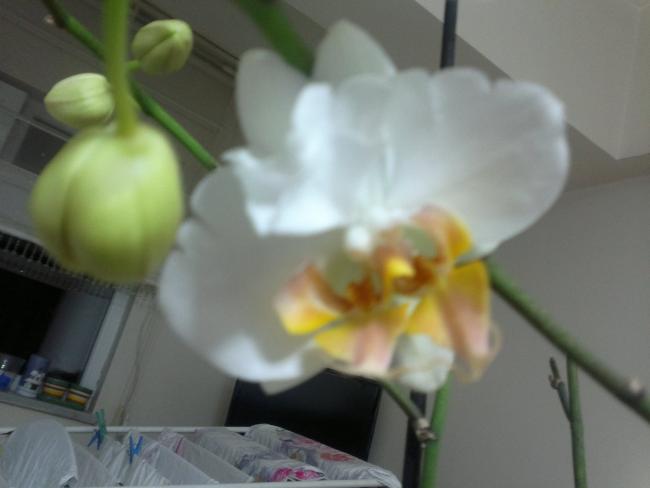 Name:  2012-12-13-041.jpg
Views: 1479
Size:  24.2 KB