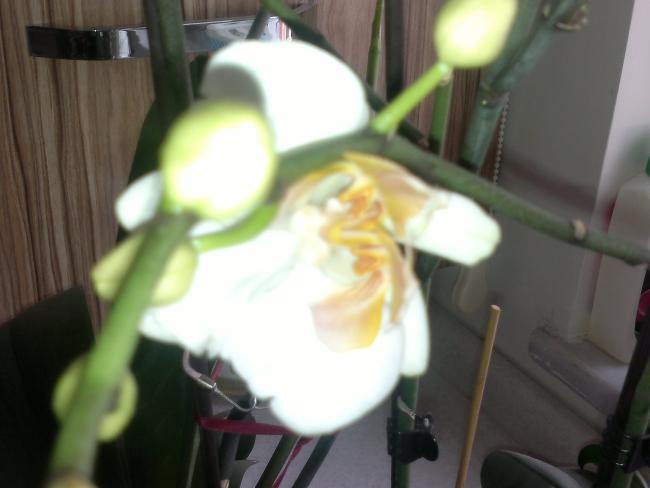 Name:  04122012227.jpg
Views: 1489
Size:  28.8 KB