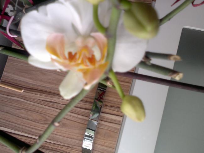 Name:  04122012228.jpg
Views: 1494
Size:  33.4 KB